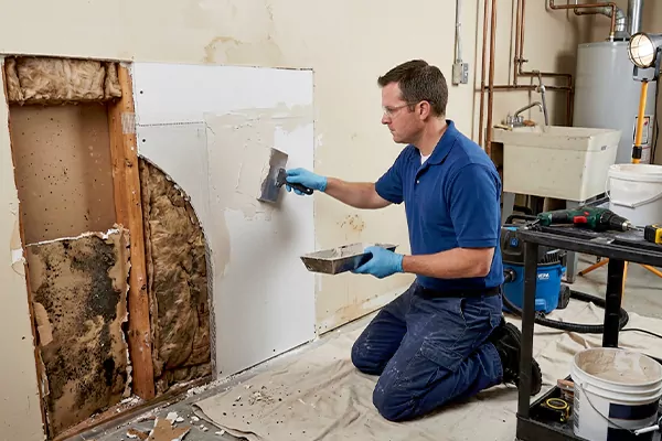 Mold and Drywall Repair Spanish Fork