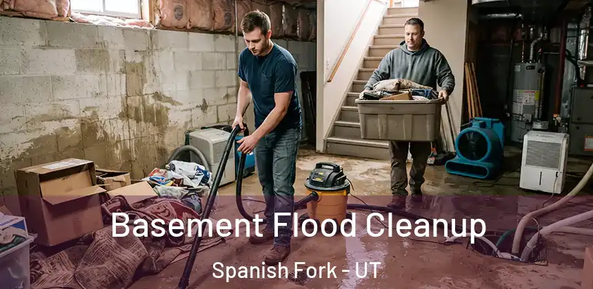 Basement Flood Cleanup Spanish Fork - UT