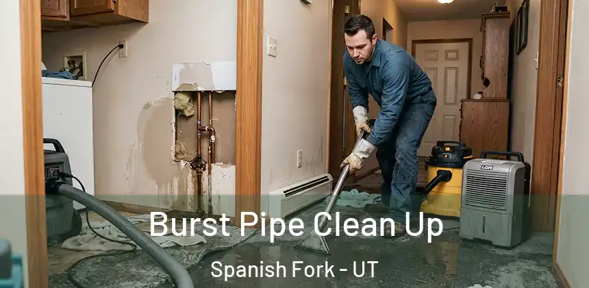  Burst Pipe Clean Up Spanish Fork - UT