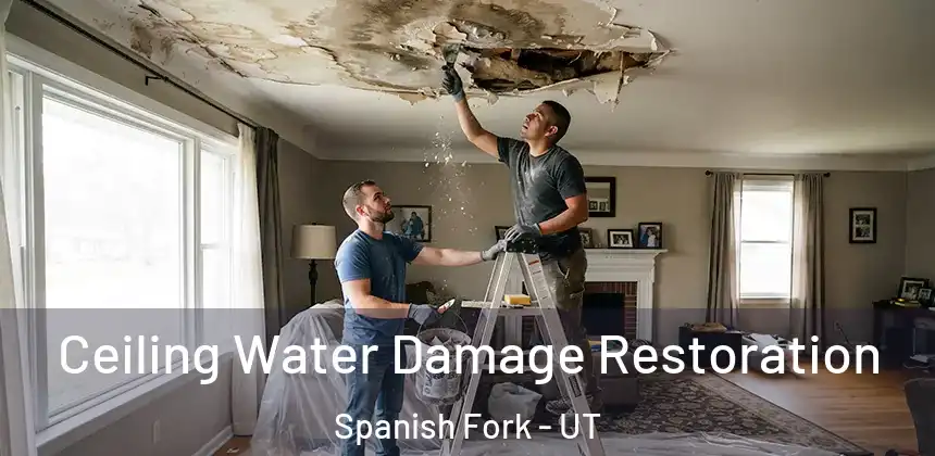  Ceiling Water Damage Restoration Spanish Fork - UT