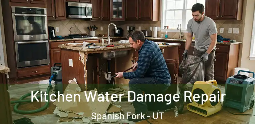 Kitchen Water Damage Repair Spanish Fork - UT