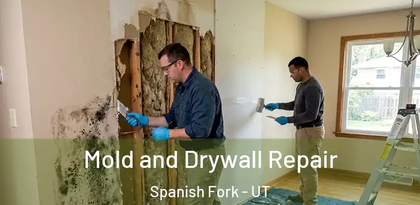  Mold and Drywall Repair Spanish Fork - UT