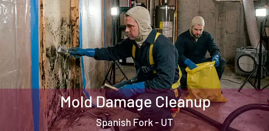 Mold Damage Cleanup Spanish Fork - UT