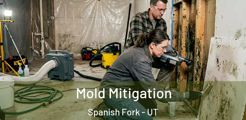 Mold Mitigation Spanish Fork - UT