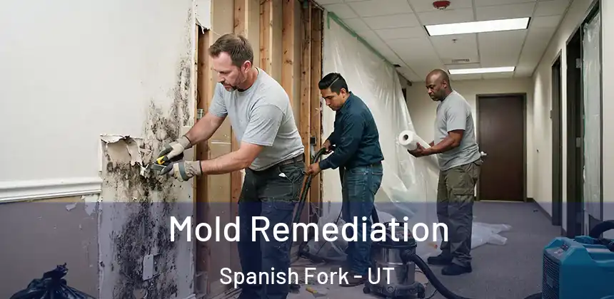 Mold Remediation Spanish Fork - UT