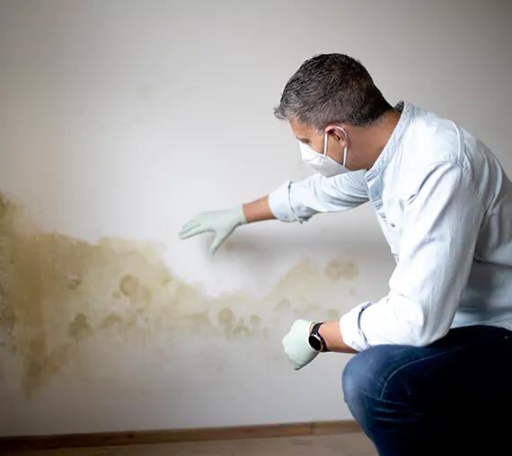 Mold Removal Service in Spanish Fork, UT