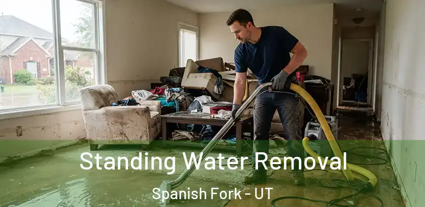 Standing Water Removal Spanish Fork - UT