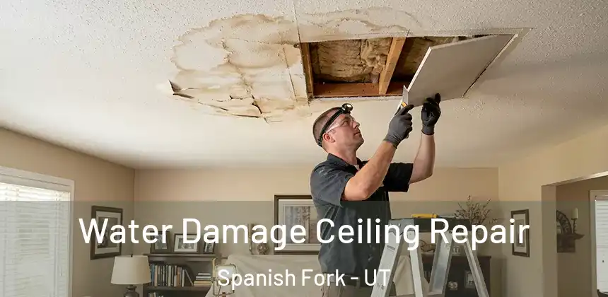  Water Damage Ceiling Repair Spanish Fork - UT