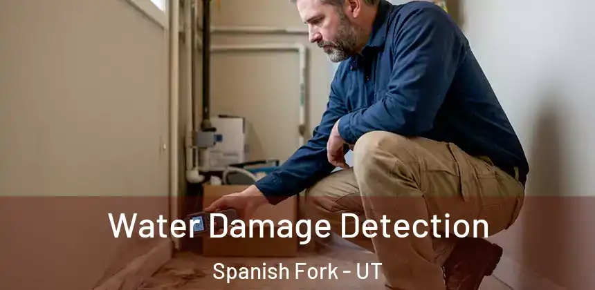  Water Damage Detection Spanish Fork - UT