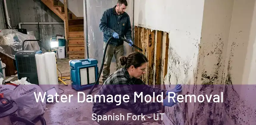  Water Damage Mold Removal Spanish Fork - UT