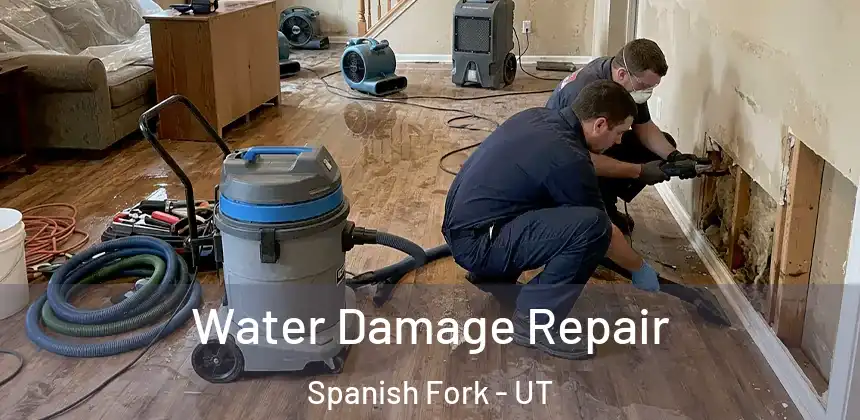 Water Damage Repair Spanish Fork - UT