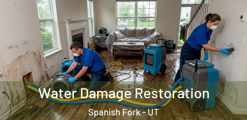  Water Damage Restoration Spanish Fork - UT
