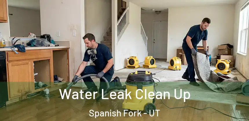 Water Leak Clean Up Spanish Fork - UT