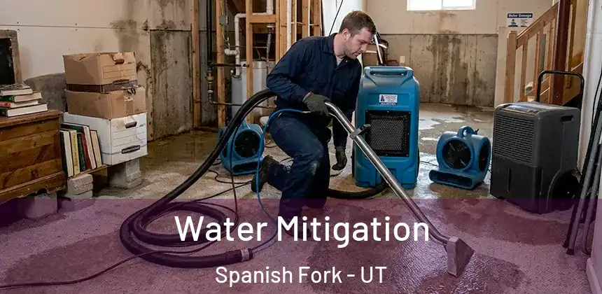 Water Mitigation Spanish Fork - UT
