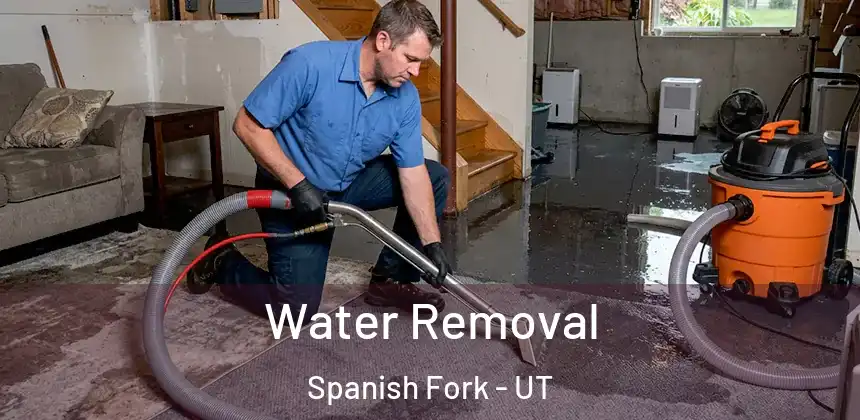 Water Removal Spanish Fork - UT