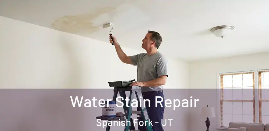 Water Stain Repair Spanish Fork - UT